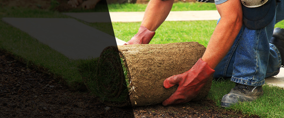 Calhan Landscapers